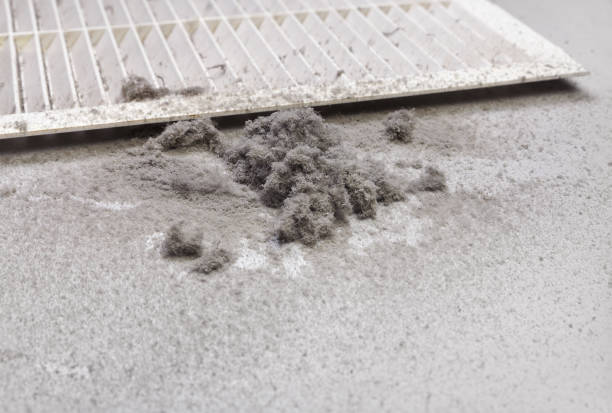 Best Local Air Duct Cleaning Services  in Brownsville, FL