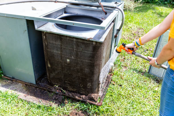Best Home Air Vent Cleaning  in Brownsville, FL