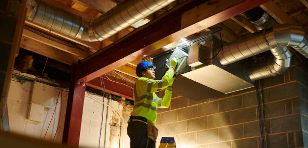 Best Professional Duct Cleaning Services  in Brownsville, FL