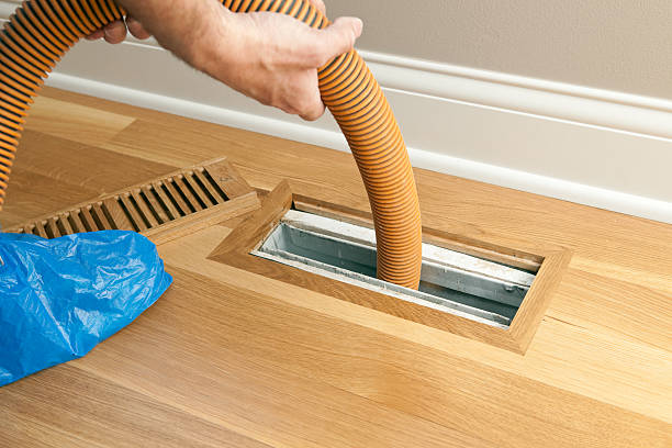 Best Air Vent Cleaning Services  in Brownsville, FL