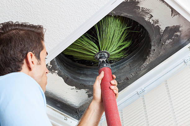 Best Ductwork Cleaning Services  in Brownsville, FL